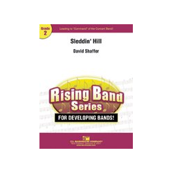         Sleddin' Hill - David Shaffer
    