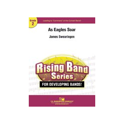         As Eagles Soar - James Swearingen
    