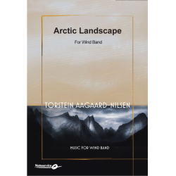         Arctic Landscape - Torstein Aagaard-Nilsen
    