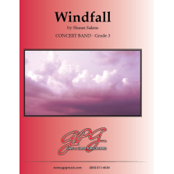         Windfall - Shaun Salem
    