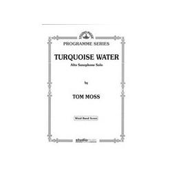         TURQUOISE WATER - Tom Moss
    