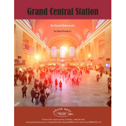         Grand Central Station - David Bobrowitz
    