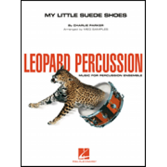 My Little Suede Shoes