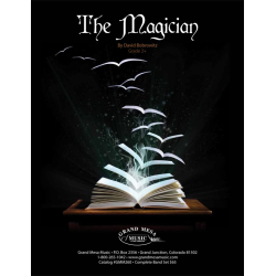         The Magician - David Bobrowitz
    