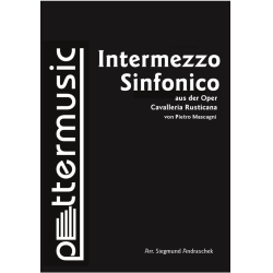         Intermezzo Sinfonica - Pietro Mascagni / Arr. Siegmund Andraschek
    