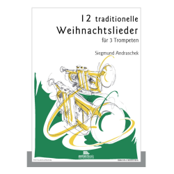         12 traditionelle Weihnachtslieder - Siegmund Andraschek
    