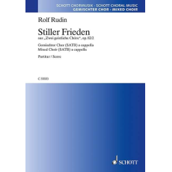         Stiller Frieden, 82/2 - Rolf Rudin
    