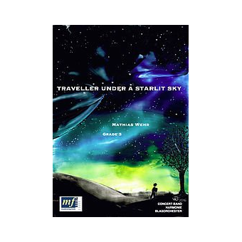 Traveller under a Starlit Sky