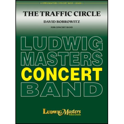         The Traffic Circle - David Bobrowitz
    