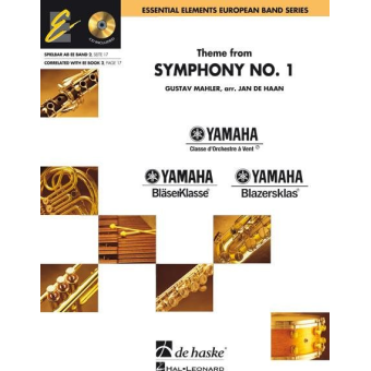 Theme from Symphony No. 1