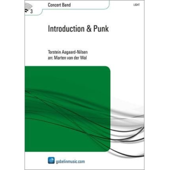 Introduction & Punk