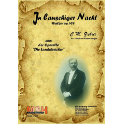         In lauschiger Nacht - Carl Michael Ziehrer / Arr. Wolfram Rosenberger
    