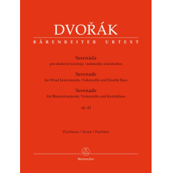         Serenade - Antonin Dvorak
    