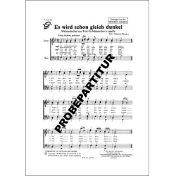         Es wird schon gleich dunkel - Traditional / Arr. Johannes Menskes
    