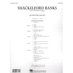         Shackelford Banks (Tale of Wild Mustangs) - Jay Bocook
    