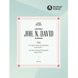         Trio Nr.1 Wk33,1 - Johann Nepomuk David
    