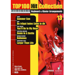         Top 100 Hit Collection Band 13 - Diverse
    