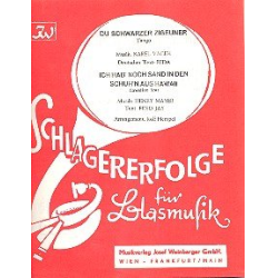         Du schwarzer Zigeuner  und  Ich hab noch
    