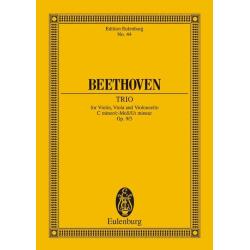         Streichtrio c-Moll op.9,3 - Ludwig van Beethoven
    
