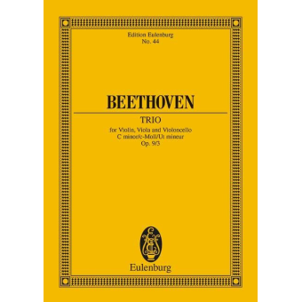 Streichtrio c-Moll op.9,3