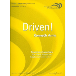         Driven : - Kenneth Amis
    