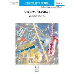         Stormchasing (c/b) - William Owens
    