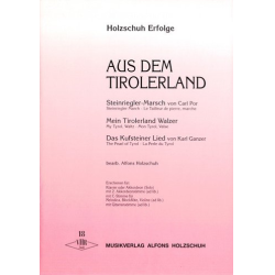         Holzschuh-Erfolge Band 18 :
    