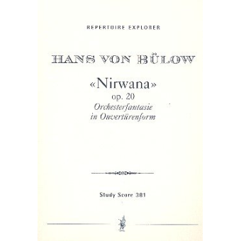 Nirwana op.20 : Orchesterfantasie in