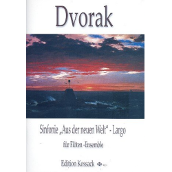         Largo aus Sinfonie Nr. 9 für Flötenensemble - Antonin Dvorak
    
