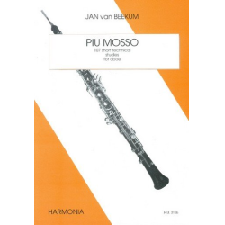         Piu mosso : 107 short technical - Jan van Beekum
    