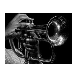         Concerto per Corno Primo - Johann Baptist Georg Neruda / Arr. André Reichling
    