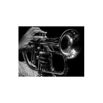 Concerto per Corno Primo