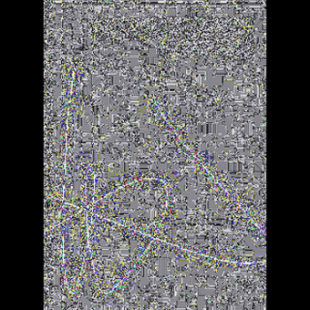 Buch: Studio della Partitura