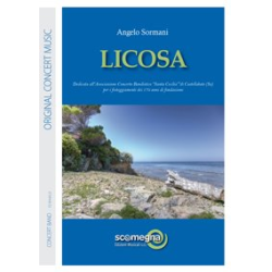        LICOSA - Angelo Sormani
    