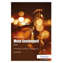         Mein Seelenheil - Alexander Pfluger / Arr. Alexander Pfluger
    