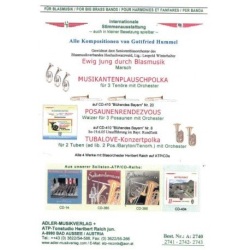         Musikantenplauschpolka - Gottfried Hummel
    