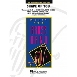         Shape of You - Hans Zimmer / Arr. Matt Conaway
    