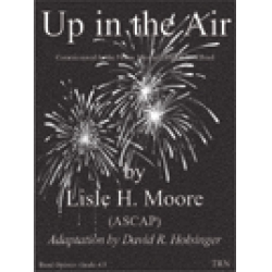        Up in the Air - David R. Holsinger
    