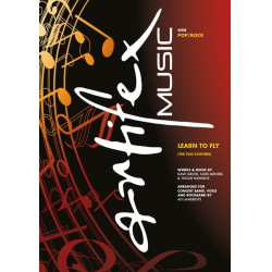         Foo Fighters  Learn to Fly
    