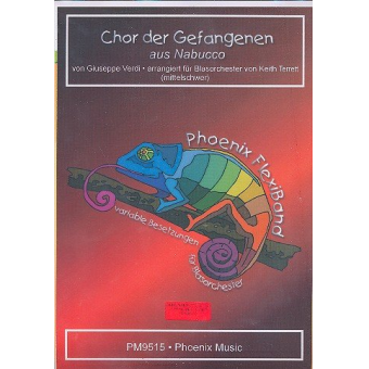Chor der Gefangenen aus Nabucco