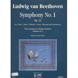         Sinfonie Nr.1 op.21 - Ludwig van Beethoven
    