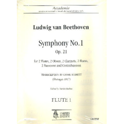         Sinfonie Nr.1 op.21 - Ludwig van Beethoven
    