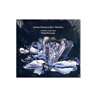 Motetten CD