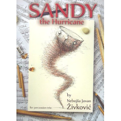         Sandy the Hurricane - Nebojsa Jovan Zivkovic
    