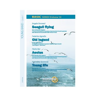 Basic Series Volume 10