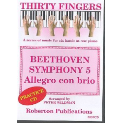         Symphony no.5 - Allegro con brio CD - Ludwig van Beethoven
    