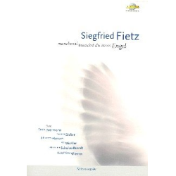         Manchmal brauchst du einen Engel - Siegfried Fietz
    