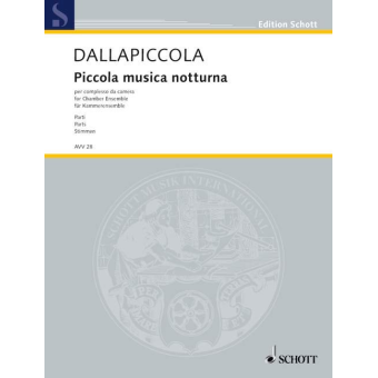 PICCOLA MUSICA NOTTURNA