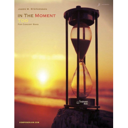         In The Moment Too - James M. Stephenson
    