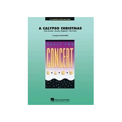         A Calypso Christmas - Calvin Custer
    